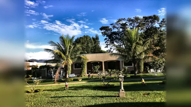 Jardim de trás