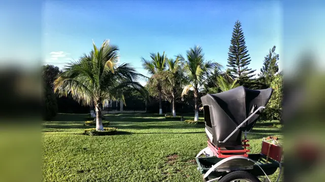 Portão de acesso ao jardim de trás