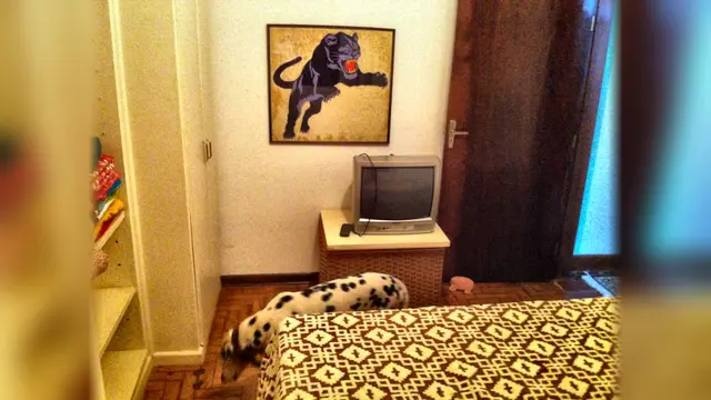 Quarto 2 da casa de hóspedes, outro ângulo